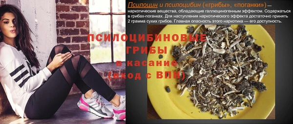 PSILOCYBIN Дмитровск
