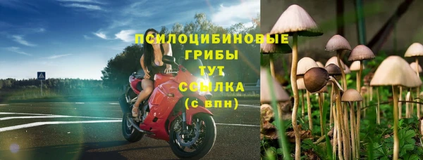 прущая мука Дмитриев