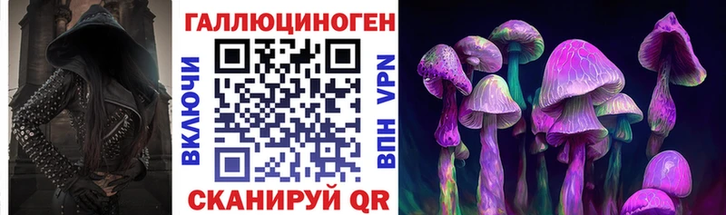 Псилоцибиновые грибы Magic Shrooms  Купить где  Хадыженск 